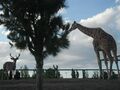 PARQUE-CENTRAL.JPG