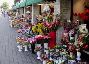 Tallinn flower market.jpg