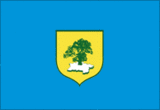 Флаг