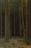 Заповедник. Сосновый бор (Шишкин).jpg