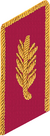 петлицы генералов