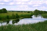 Река Псёл у села Самарино 03.JPG