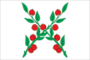 Flag of Chaplygin (Lipetsk oblast).png