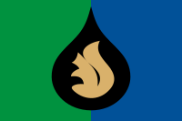 Flag of Fyodorovsky (Khanty Mansia) (2008-06).svg