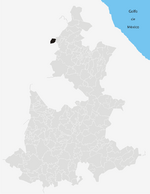 Honey Puebla.png