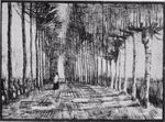 Lane with Trees and One Figure f 1241 jh 470.jpg