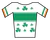 MaillotIrlanda.PNG