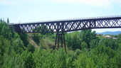 Дуркаль
