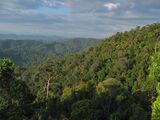Taman-Negara.jpg