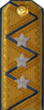 погоны ГБ 1943