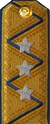 погоны ГБ 1943