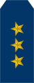 13-Nicaragua Air Force-COL.svg