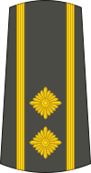 13-Serbian Army-LTC.svg