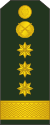14-Moldovan Army-COL.svg