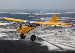 Husky-a1-c-108.jpg