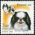 Japanese-Chin-Canis-lupus-familiaris.jpg