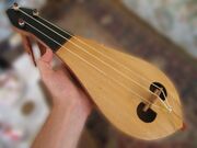 Kemence Sezgin (1).jpg