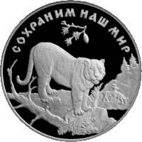 RR5111-0046R Амурский тигр.gif