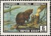 The Soviet Union 1961 CPA 2536 stamp (Eurasian Beaver).jpg