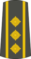 14-Serbian Army-COL.svg