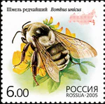 2005. Марка России stamp hi12612325144b2ce182baa56.jpg