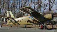 B-8207.jpg