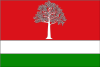 Флаг