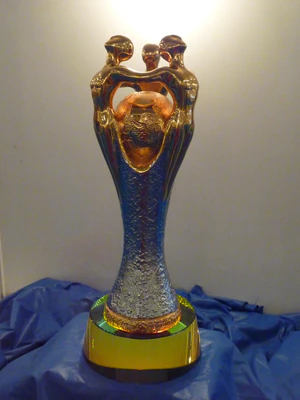 Футбольный кубок мира (Peace Cup), 2008 год