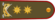 General-leytenant QQ.png