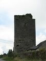 Gowran Castle - geograph.org.uk - 475982.jpg