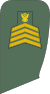 Sudan Army - OR08.svg
