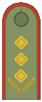 Belarus BKA 1944 everyday - Palkoŭnik.gif