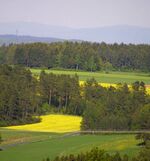 Fichtelgebirge - Ochsenkopf u. Fichtelberg.jpg
