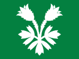 Флаг