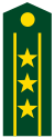 PLA Colonel.svg