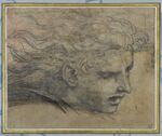 SANTI Raffaello - Tête de jeune homme, de trois quarts vers la droite, INV 3853, Recto.jpg