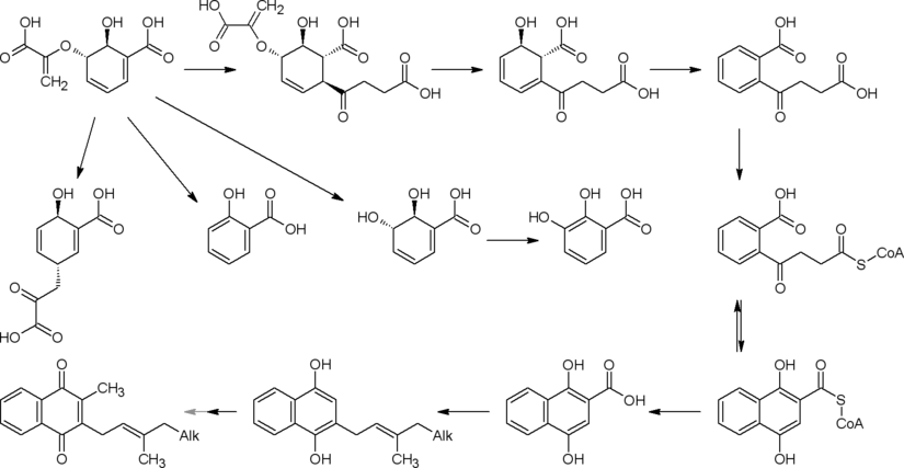 Превращения изохоризмата