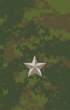 13mj.png