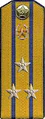 погоны 1956