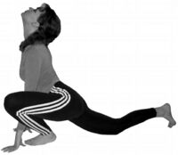 Ashva sanchlasana.jpg