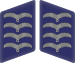 Luftwaffe collar tabs Stabsgefreiter 3D.svg