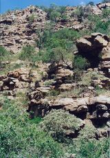 Moremi gorge 2.jpg