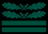 OTL Ostubaf OF4 cam slv 1945.svg