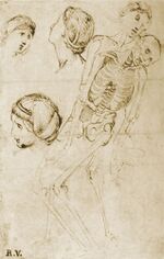 Raffaello, studio per la pala baglioni 13.jpg