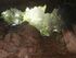 St Hermans Cave Belize.jpg