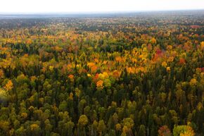 Yuganskiy nature reserve aerial view.jpg