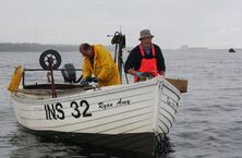 "Long-lining" for mackerel off Hopeman - geograph.org.uk - 1410170.jpg