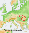 Distribution map Campanula serrata.png