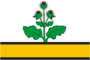 Flag of Repyovsky rayon (Voronezh oblast).png