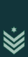 IDF Ranks Ranag.svg